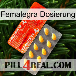 Femalegra Dosage new01